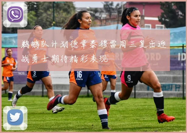 鹈鹕队计划德章泰穆雷周三复出迎战勇士期待精彩表现