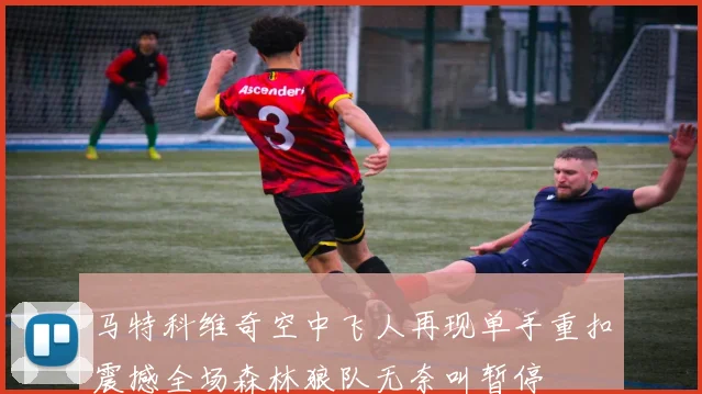 马特科维奇空中飞人再现单手重扣震撼全场森林狼队无奈叫暂停