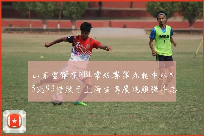 山东蜜獾在NBL常规赛第九轮中以85比93惜败于上海玄鸟展现顽强斗志