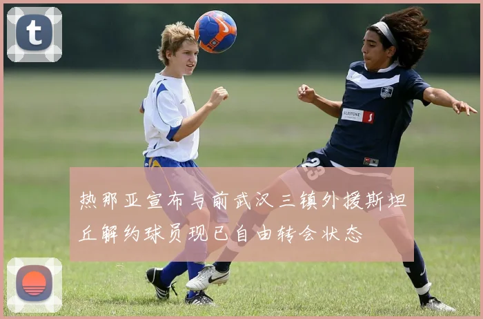 热那亚宣布与前武汉三镇外援斯坦丘解约球员现已自由转会状态