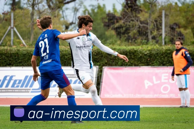 IM电竞APP 封面图